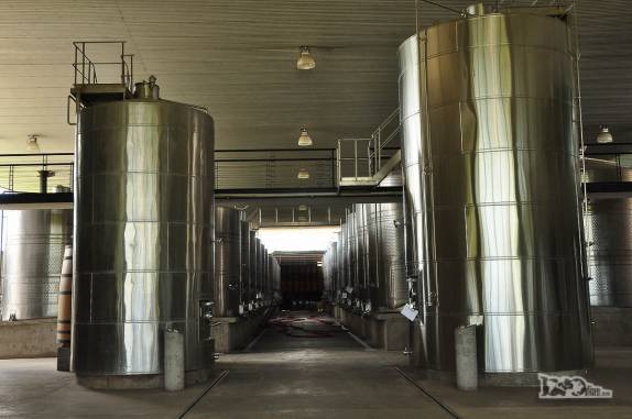 Visitando a vinícola Estampa, no Valle de Colchagua, região de Santa Cruz, ao sul de Santiago, no Chile